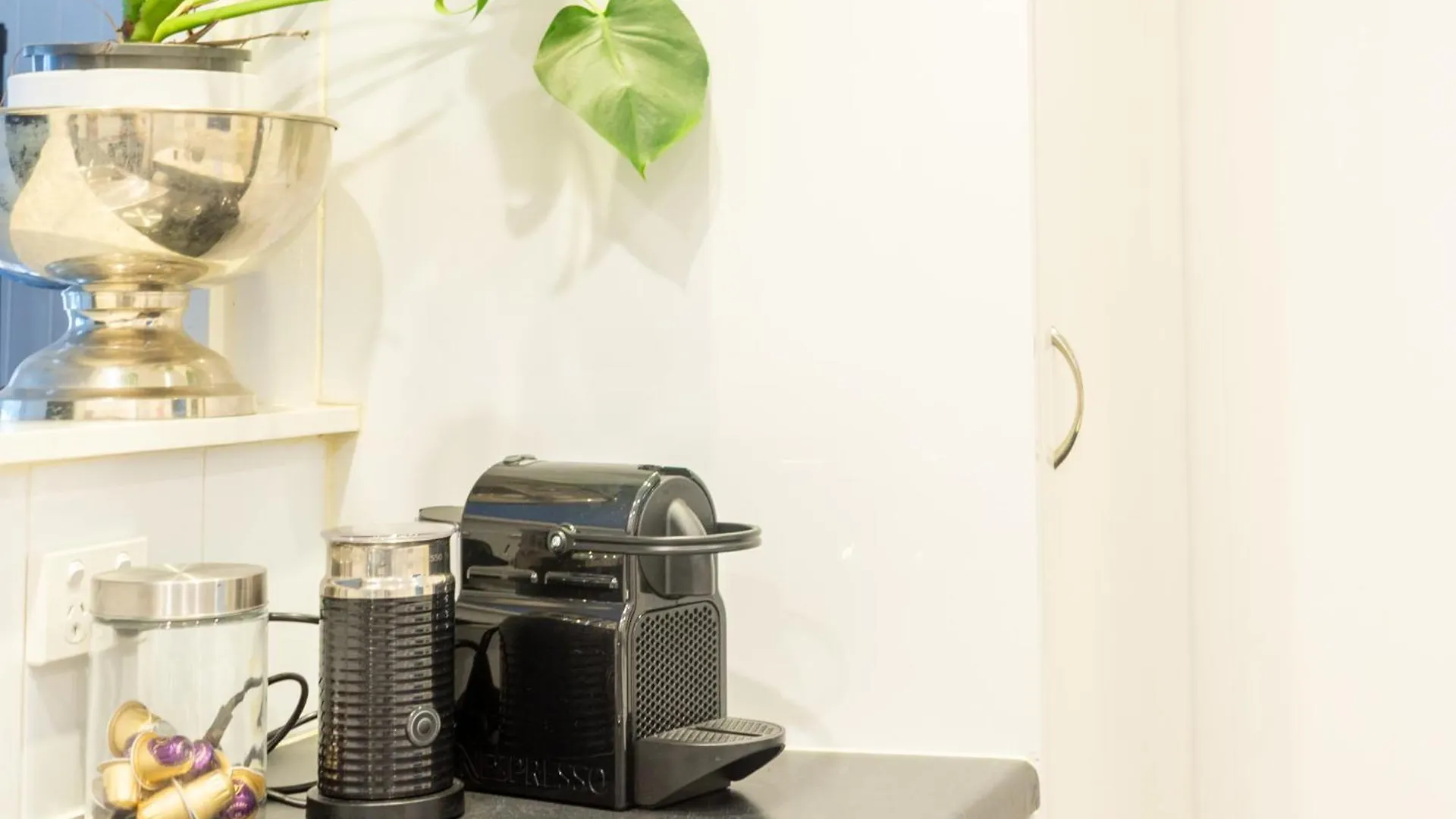 Adelaide Cbd Cozy Stay At Secluded Botanic Cottage With Free Parking